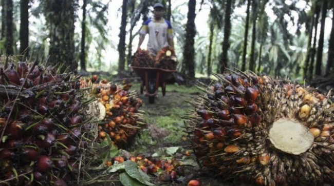 Screen Shot 2022-02-17 at 13.28.37