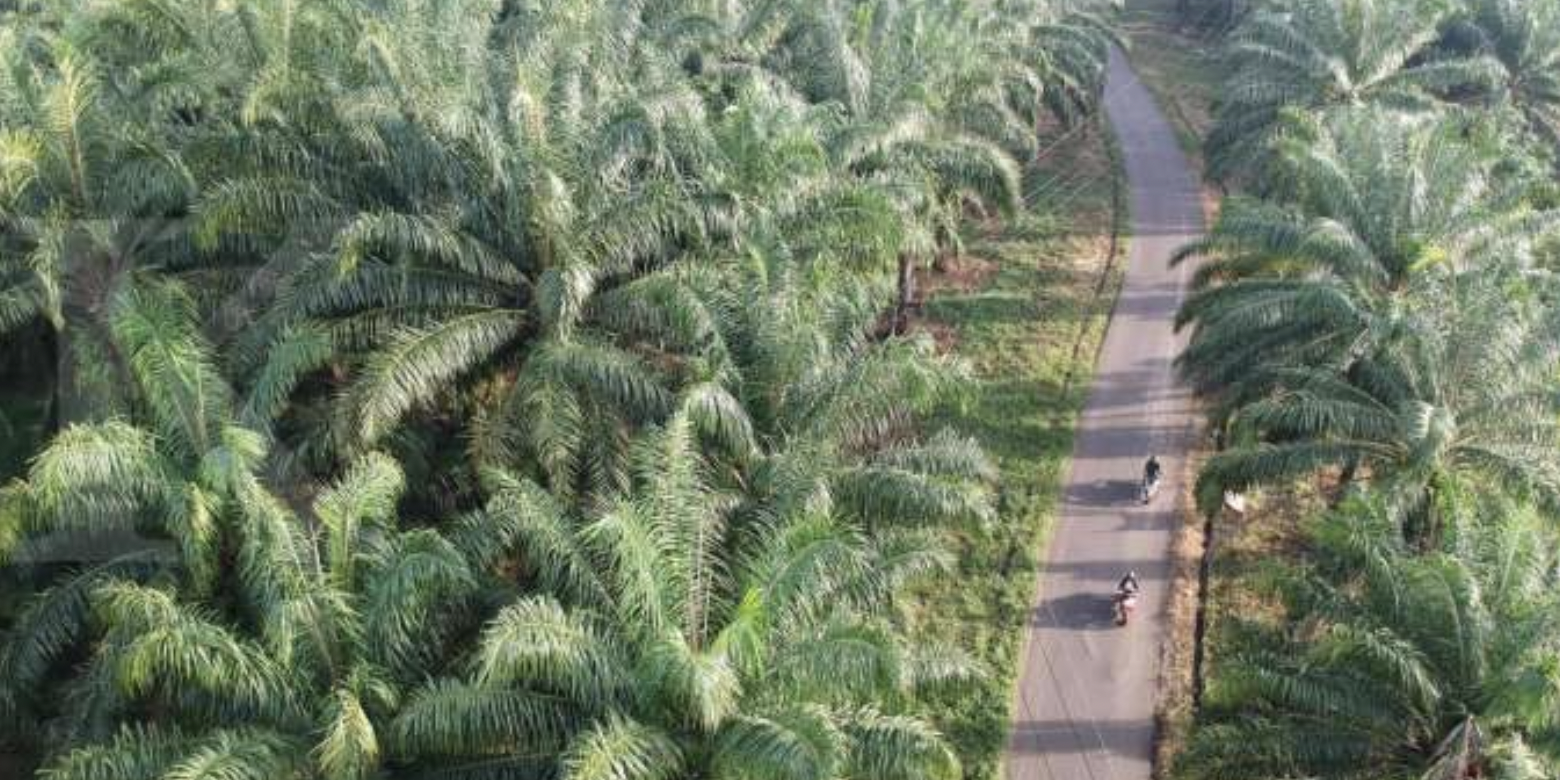 Screen Shot 2022-02-19 at 10.30.43