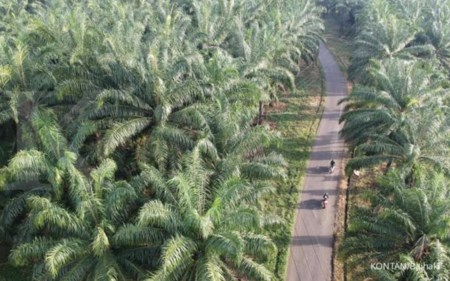 Screen Shot 2022-02-19 at 10.30.43