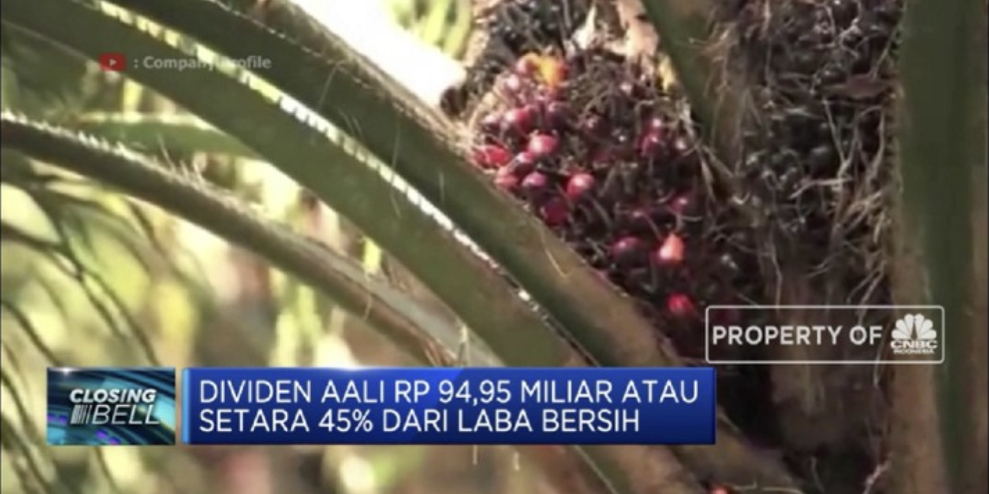 Screen Shot 2022-03-01 at 15.58.28