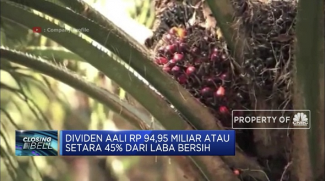 Screen Shot 2022-03-01 at 15.58.28