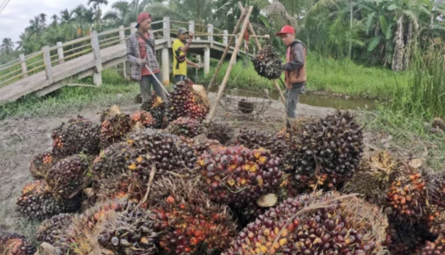 Screen Shot 2022-03-18 at 11.14.29