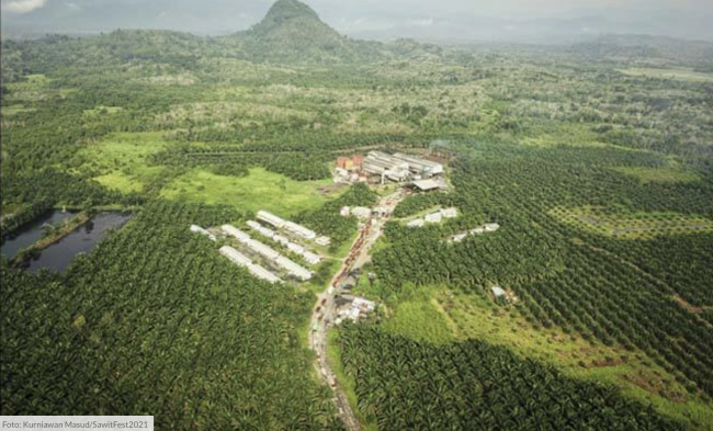 Screen Shot 2022-04-01 at 14.41.06