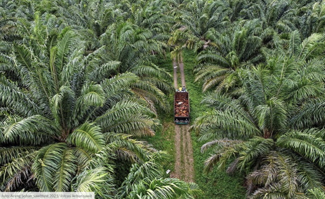 Screen Shot 2022-04-05 at 07.35.55