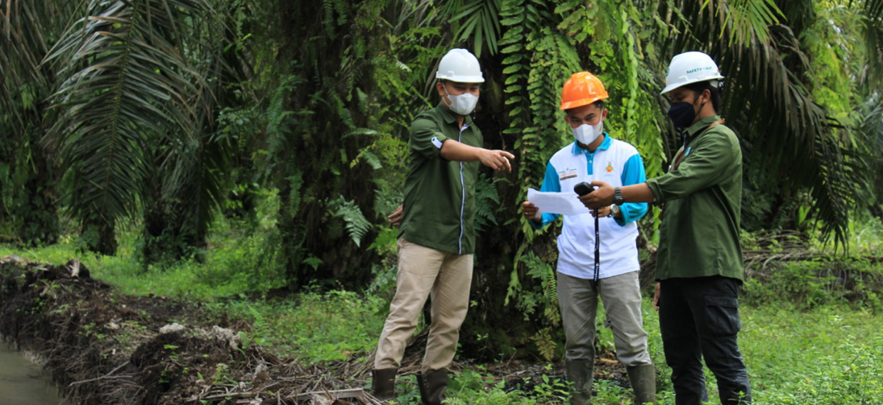 Sumber Pasokan yang Bertanggung Jawab