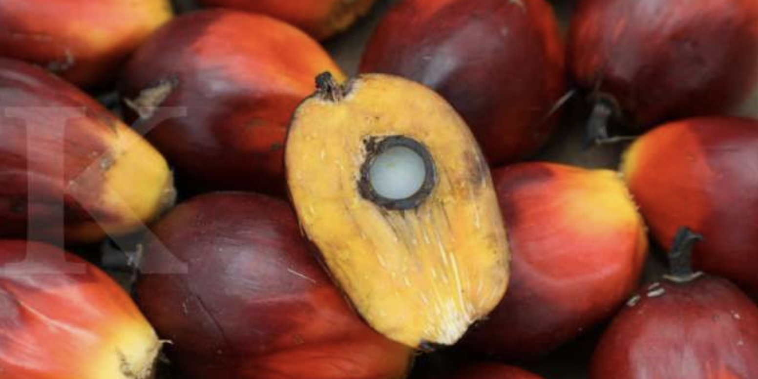 Screen Shot 2022-05-18 at 13.05.18