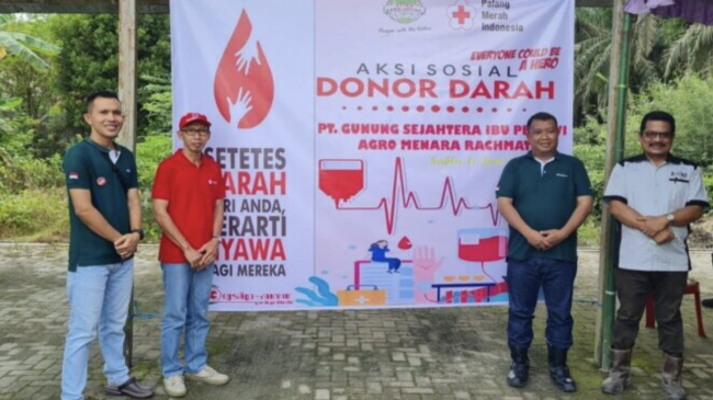 Screen Shot 2022-06-13 at 15.36.07