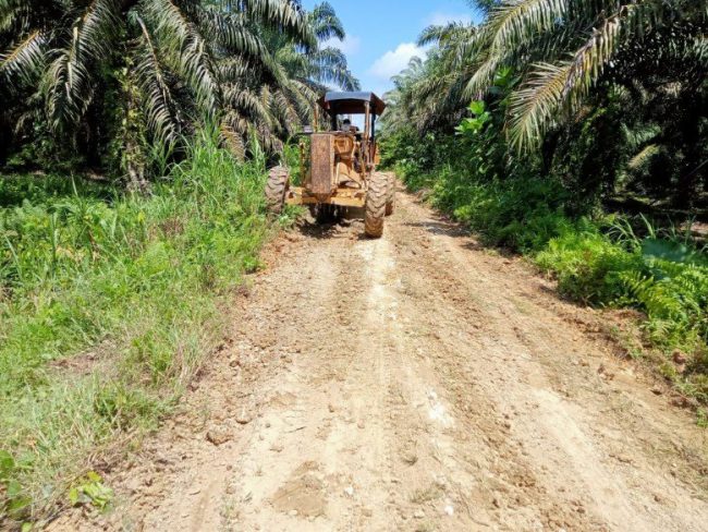 IMG-20220822-WA0002_copy_780x585