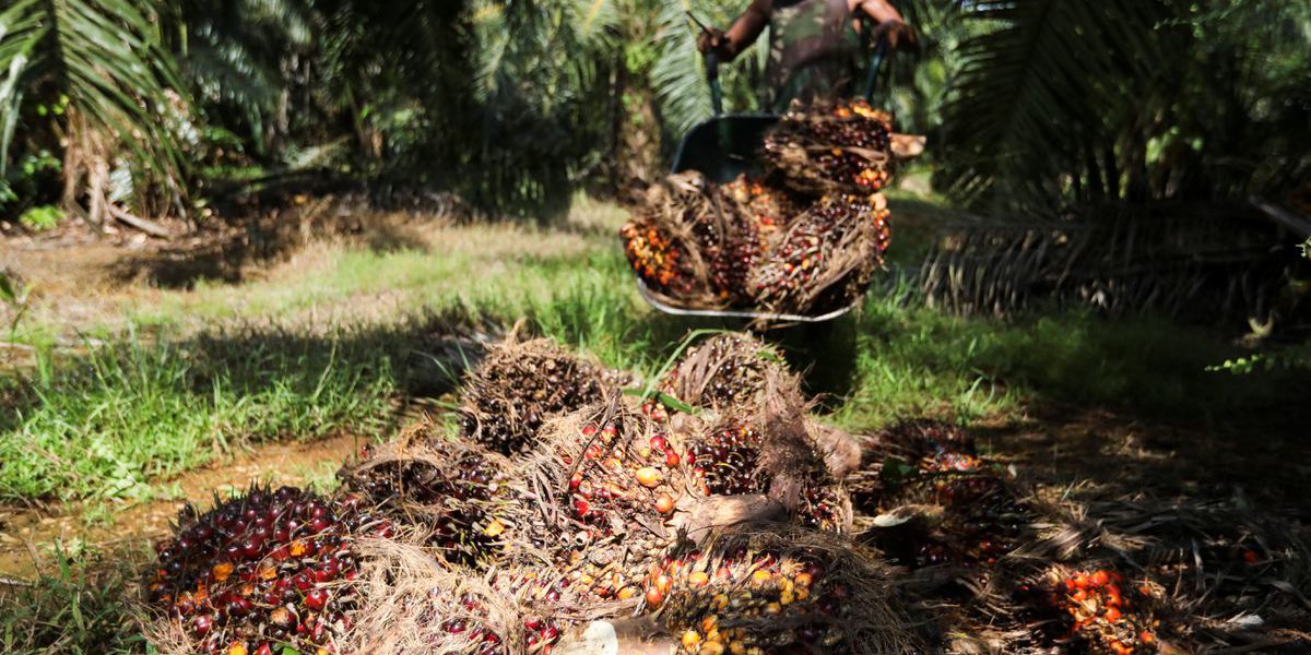 R5AJMFYL6NIOXGJZR6IFKBVX64