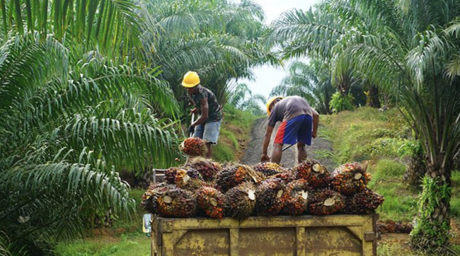 Screen Shot 2022-08-03 at 05.03.43