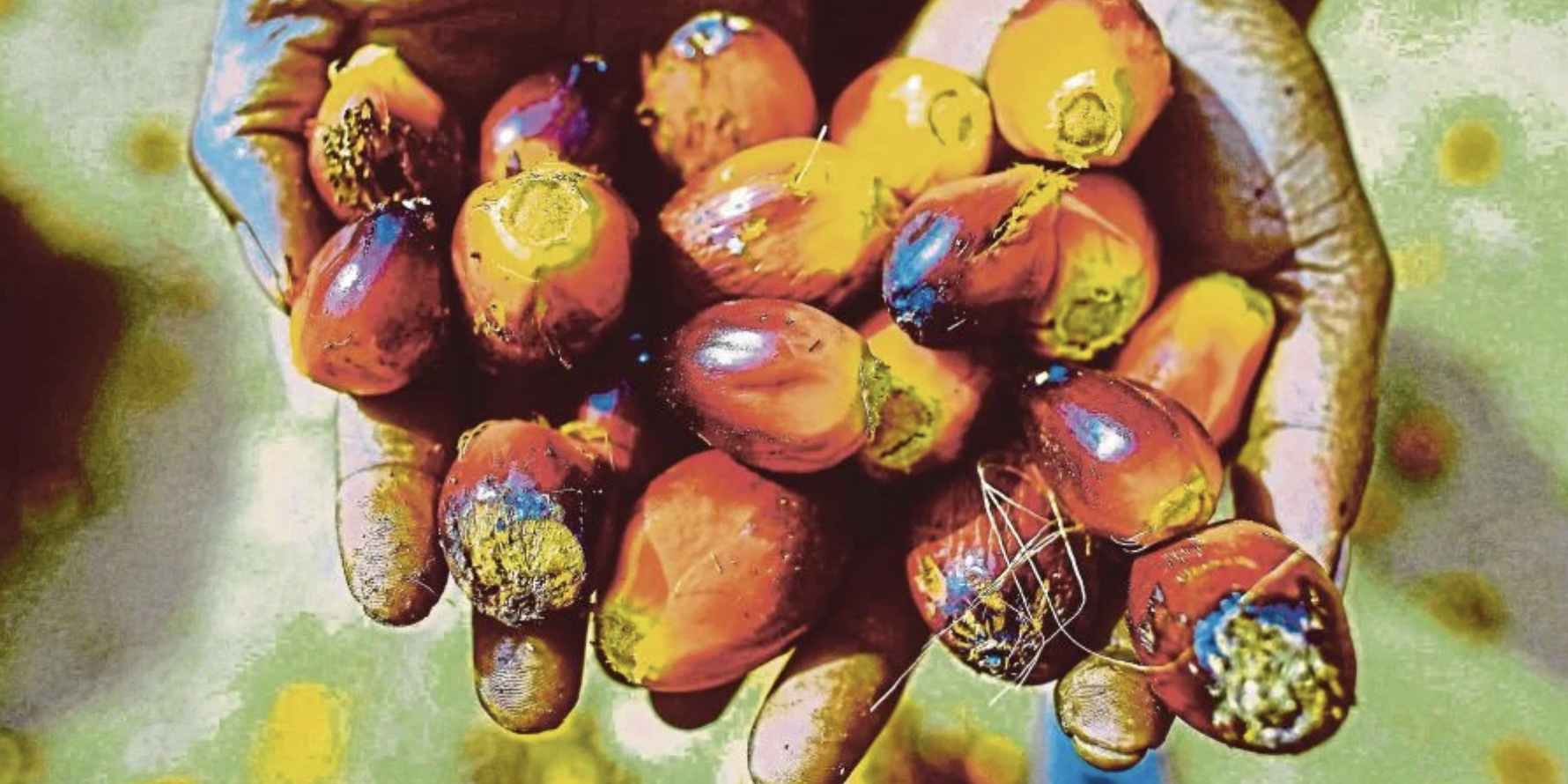 Screen Shot 2022-08-03 at 05.18.30