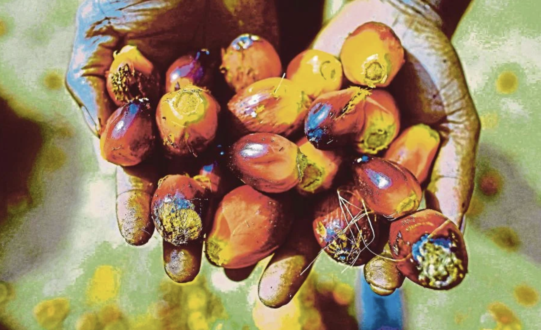 Screen Shot 2022-08-03 at 05.18.30