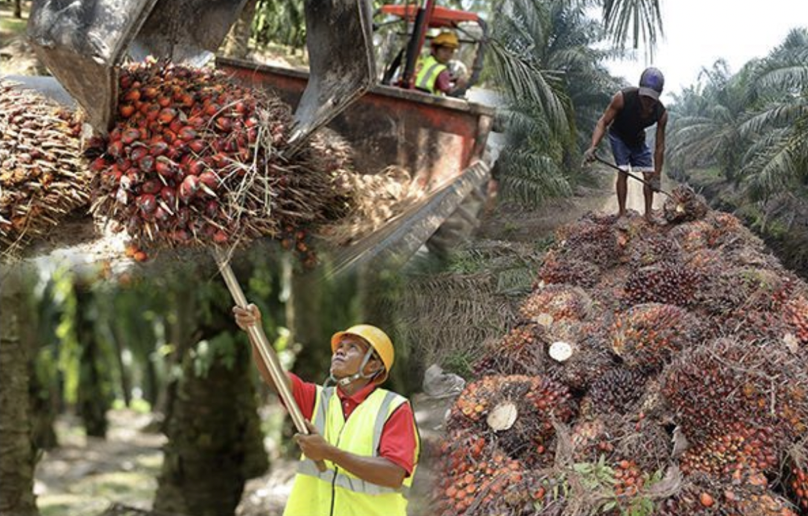 Screen Shot 2022-08-16 at 08.41.32