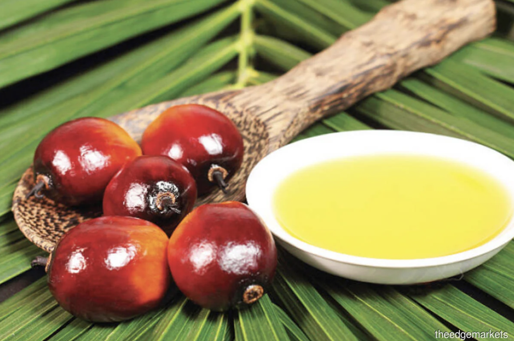 Screen Shot 2022-08-19 at 08.17.11