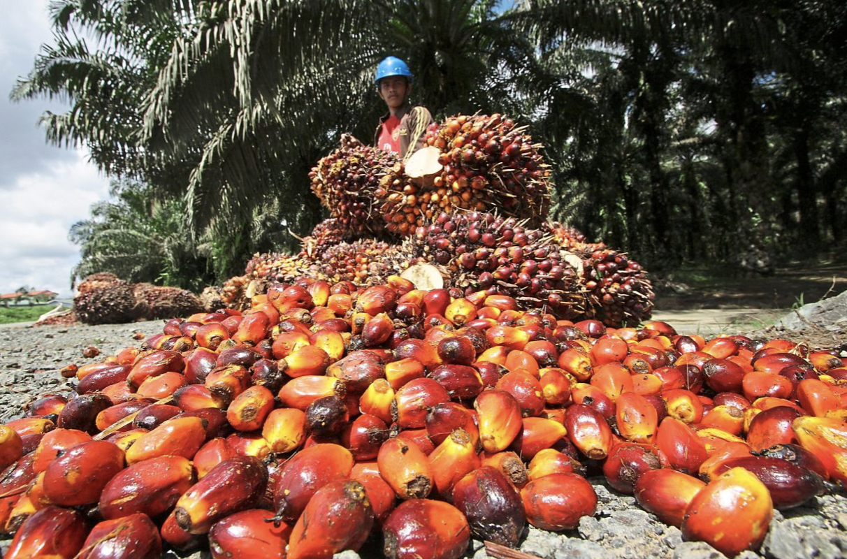 Screen Shot 2022-08-24 at 17.35.13