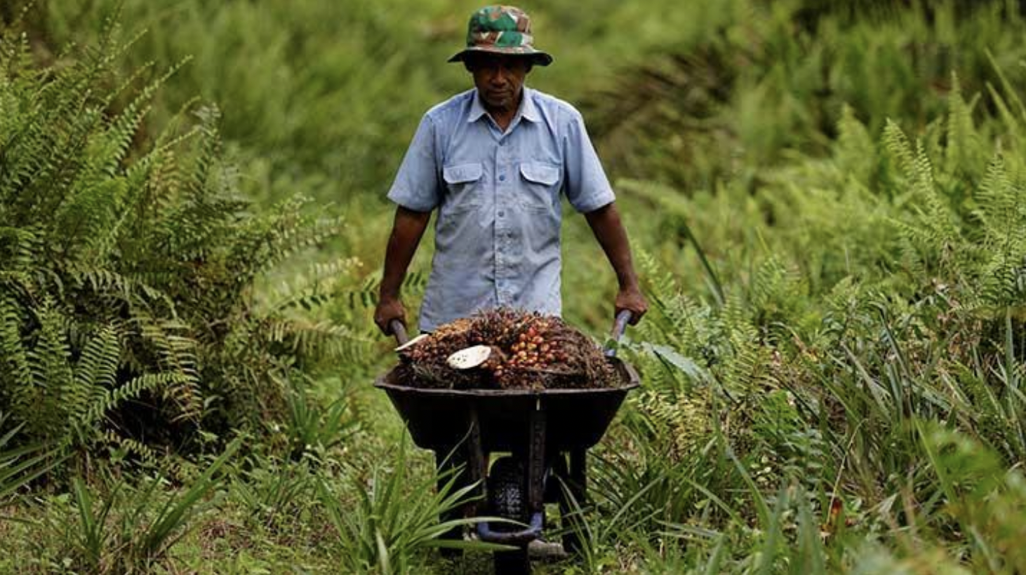 Screen Shot 2022-09-29 at 18.26.16