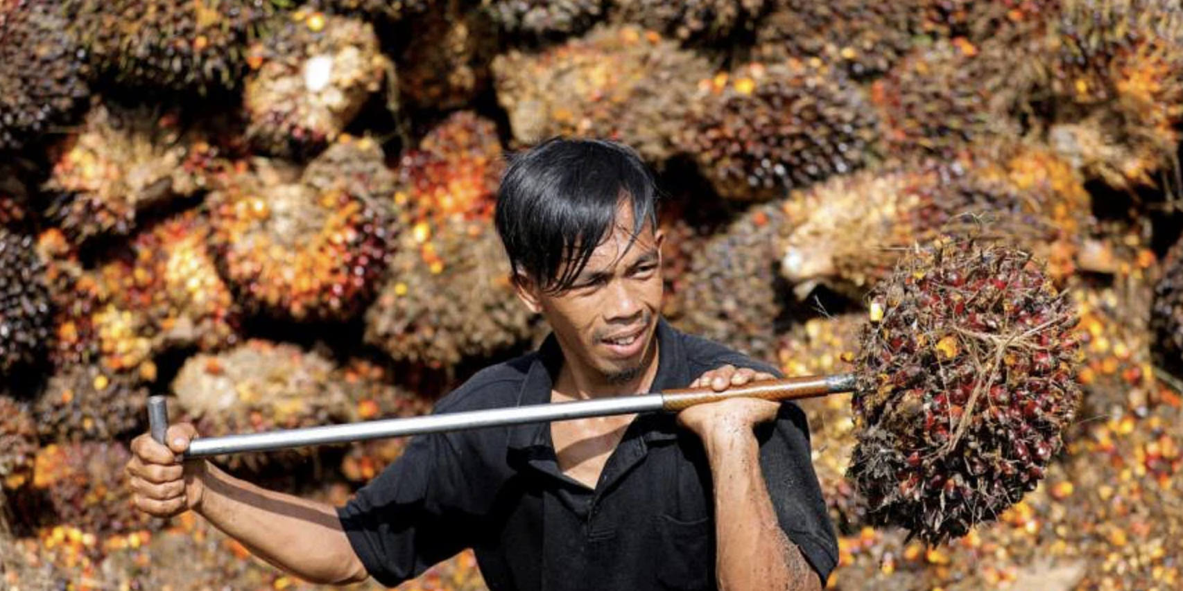 Screen Shot 2022-10-05 at 12.30.01