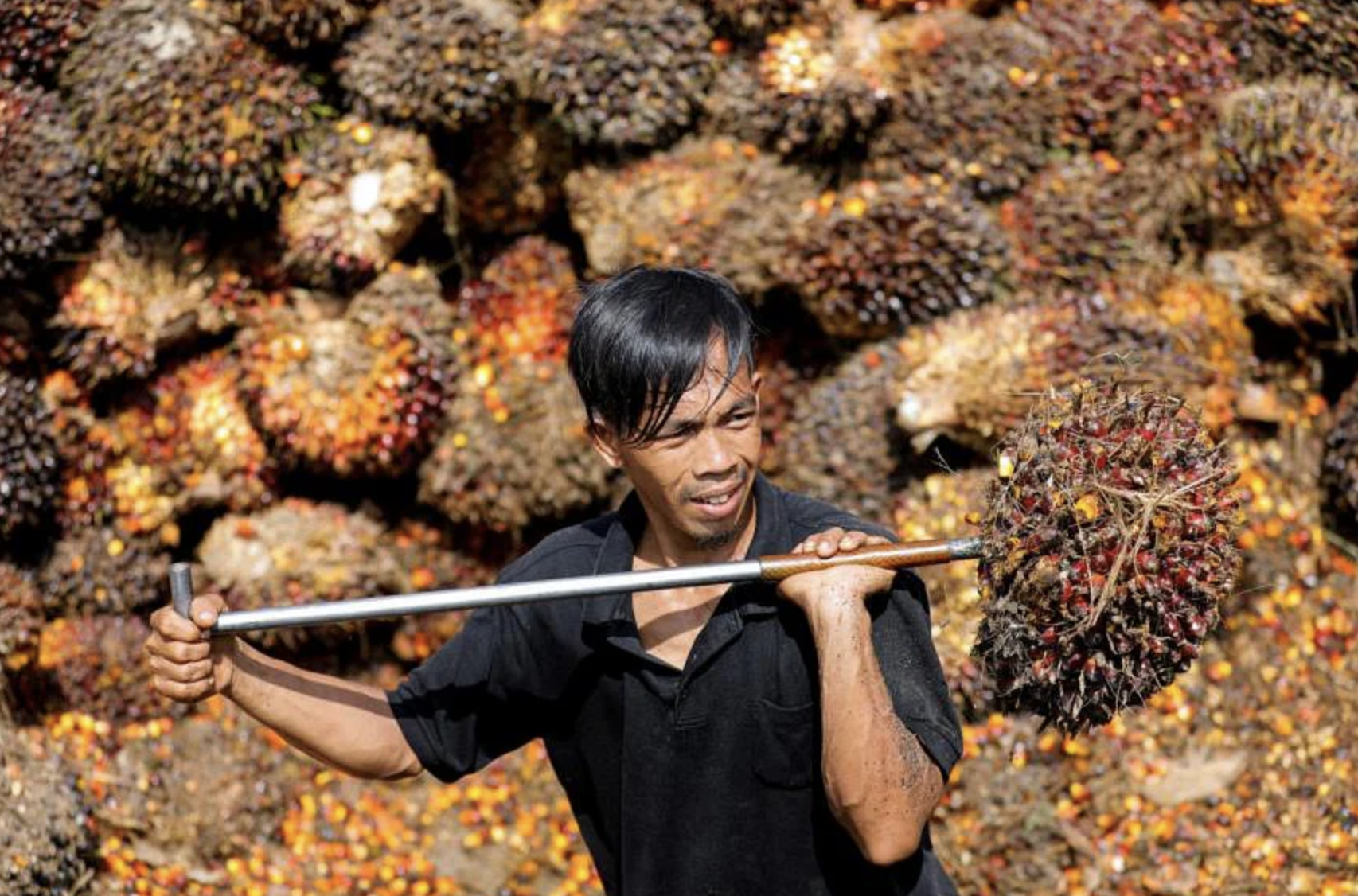 Screen Shot 2022-10-05 at 12.30.01