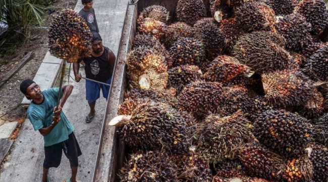 Screen Shot 2022-10-11 at 11.48.10