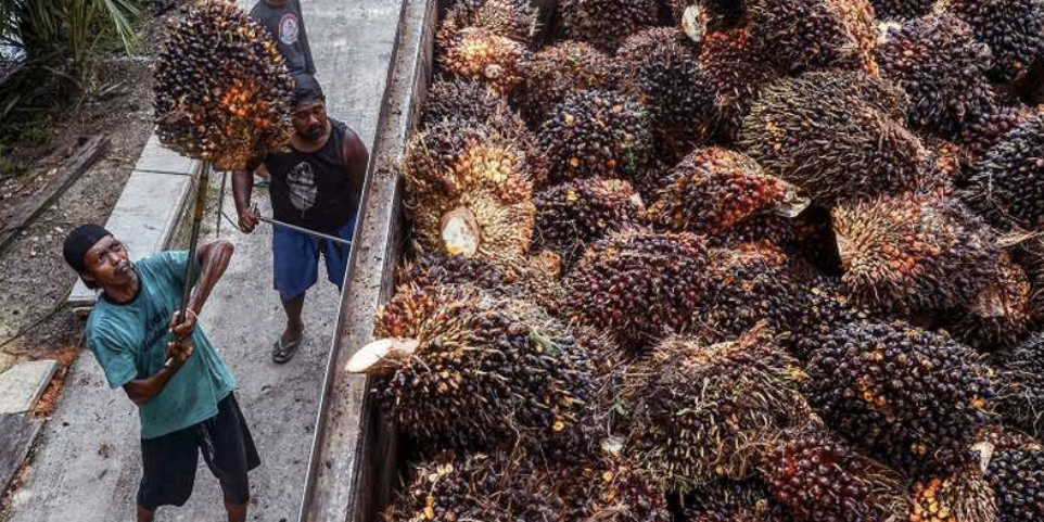 Screen Shot 2022-10-11 at 11.48.10