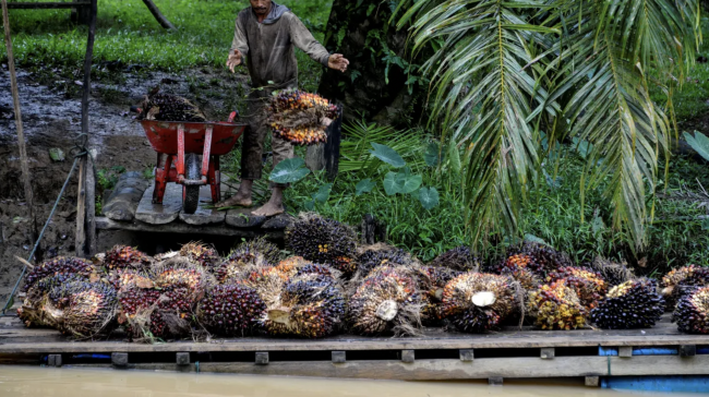 Screen Shot 2022-10-13 at 15.02.54