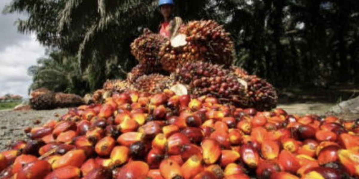 Screen Shot 2022-10-17 at 17.04.12