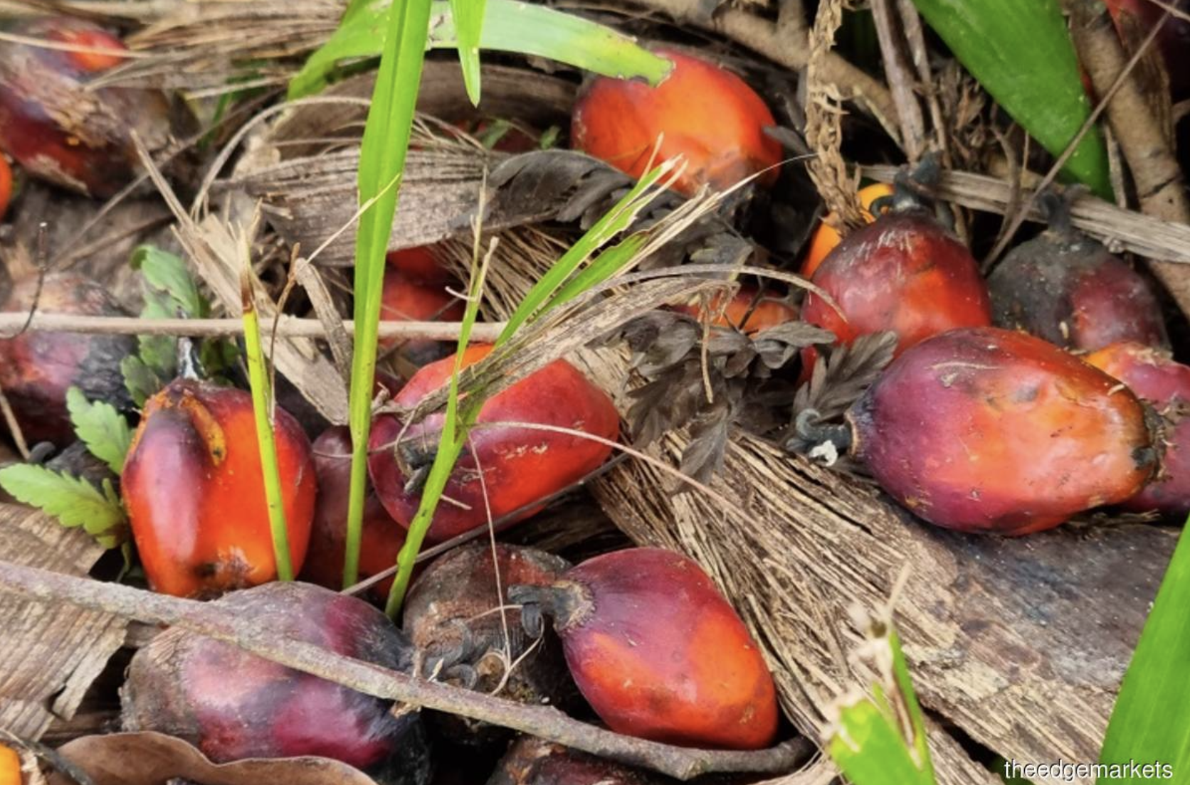 Screenshot 2022-11-03 at 23.54.17