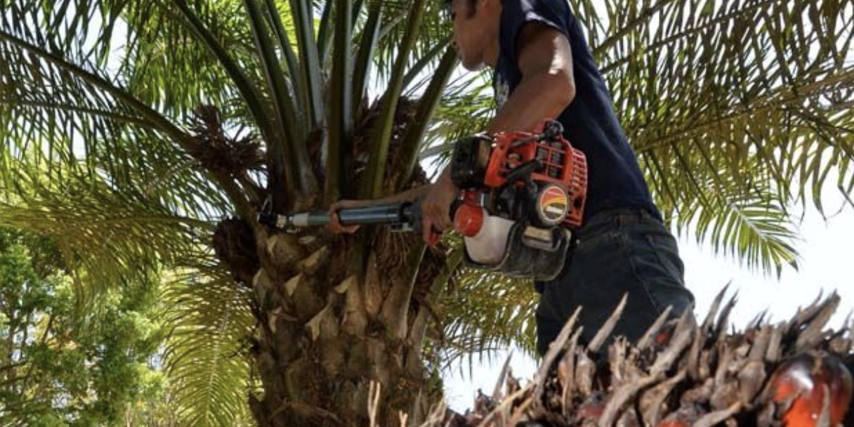 Screenshot 2022-11-03 at 23.57.57