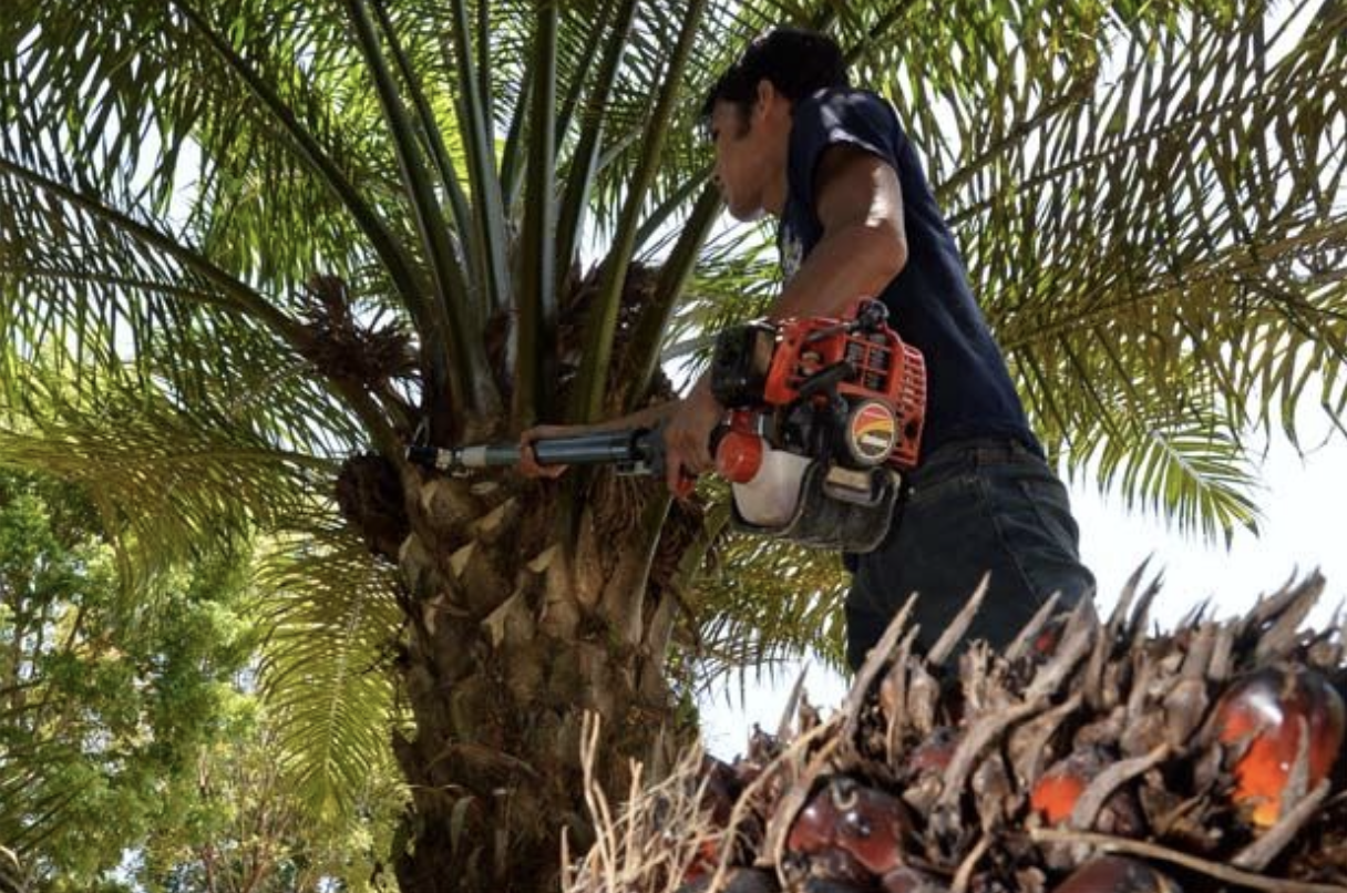 Screenshot 2022-11-03 at 23.57.57