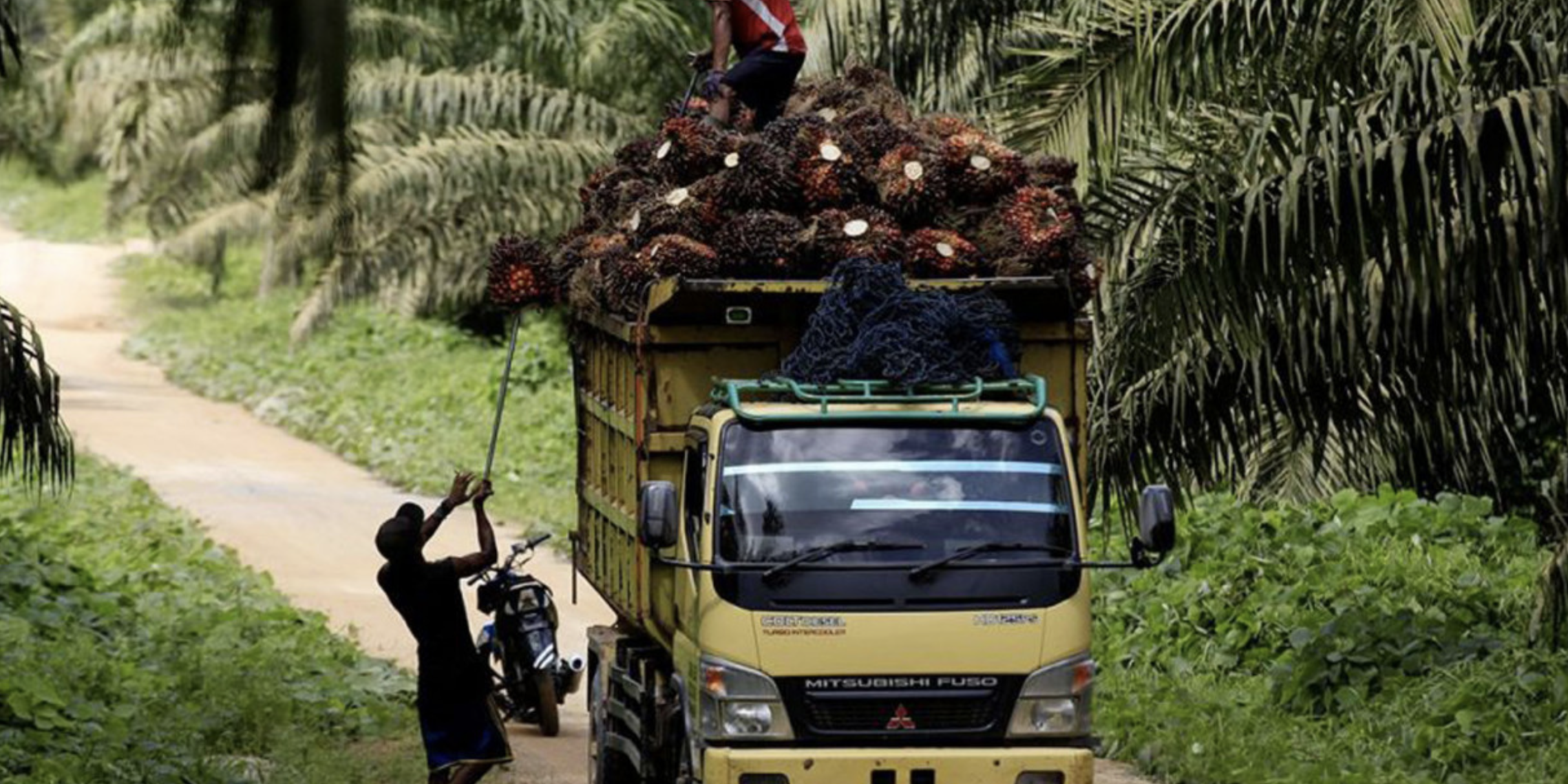 Screenshot 2022-11-22 at 08.25.53