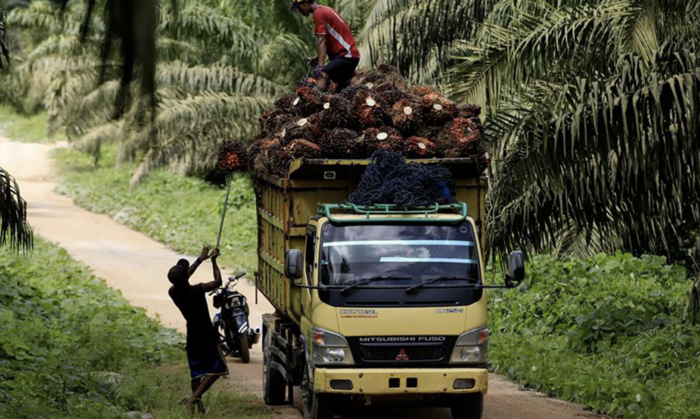 Screenshot 2022-11-22 at 08.25.53