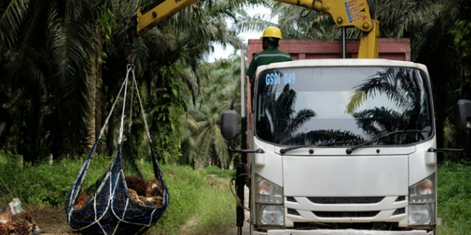 Screenshot 2023-02-22 at 04.24.35