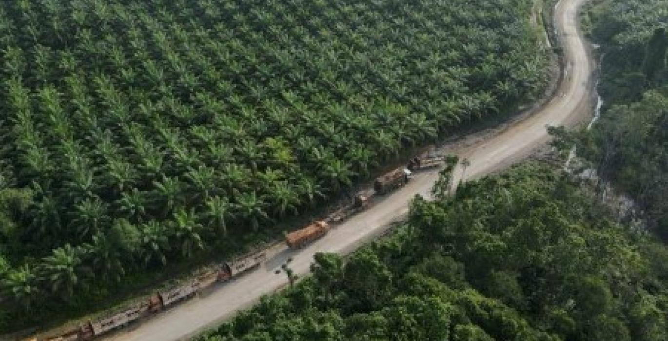 2023-03-17T062118Z_1_KE3_RTRLXPP_2_LYNXPACKAGER