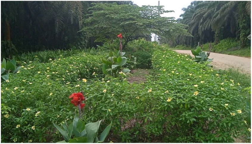 WhatsApp Image 2023-03-31 at 16.52.12.jpeg