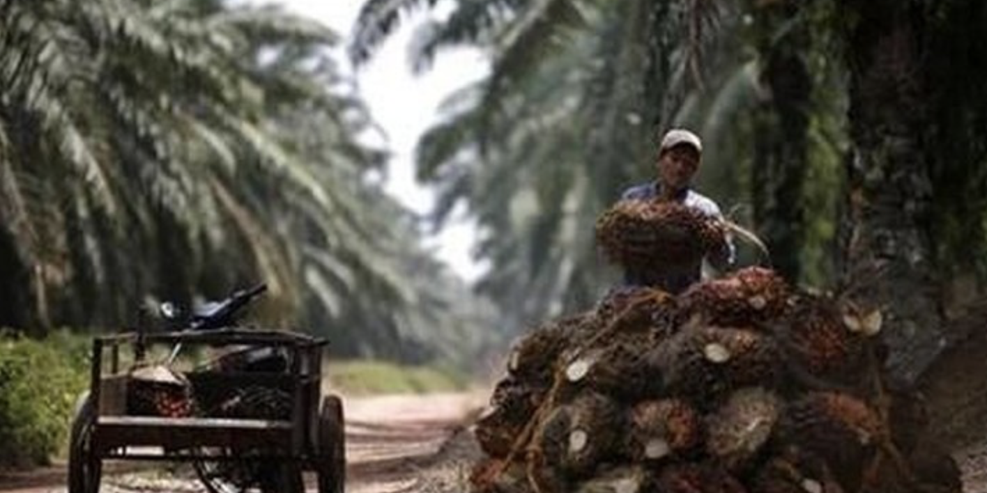 Screenshot 2023-04-13 at 08.17.15