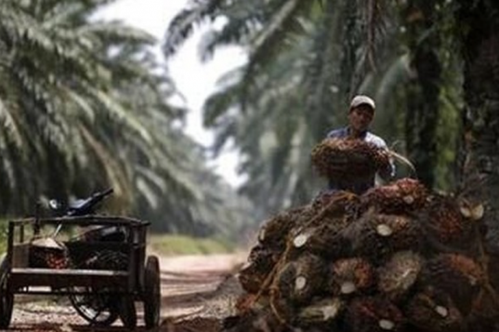 Screenshot 2023-04-13 at 08.17.15