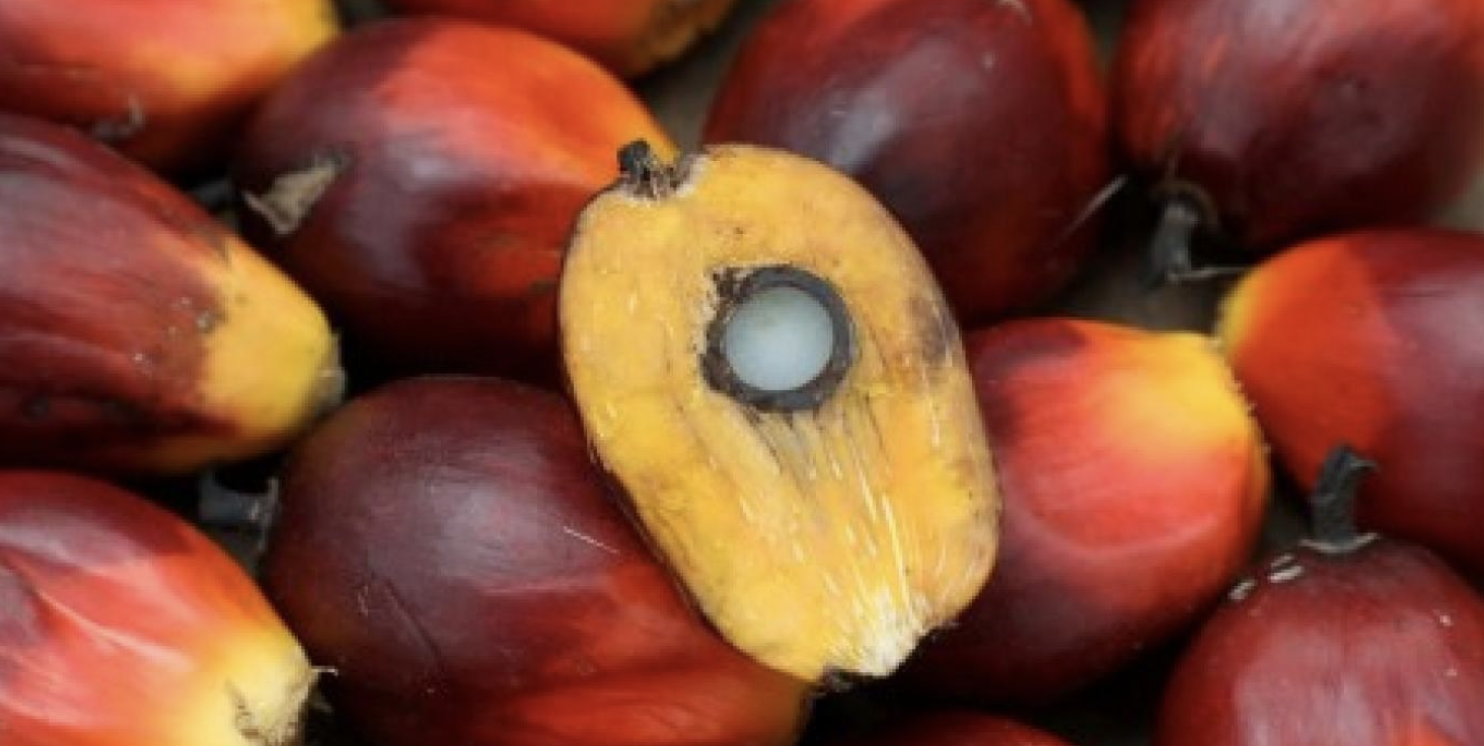 Screenshot 2023-05-09 at 08.20.08