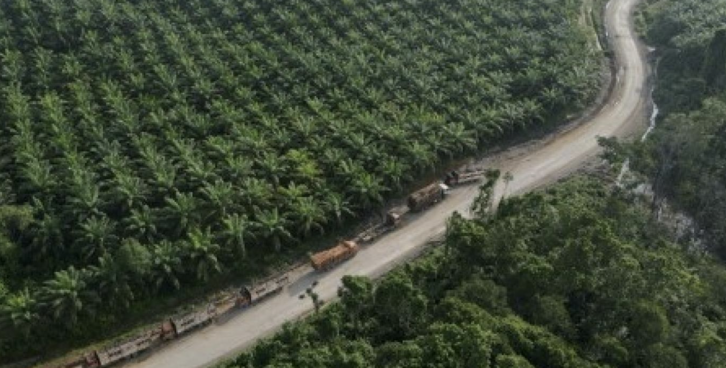 Screenshot 2023-06-14 at 08.26.21