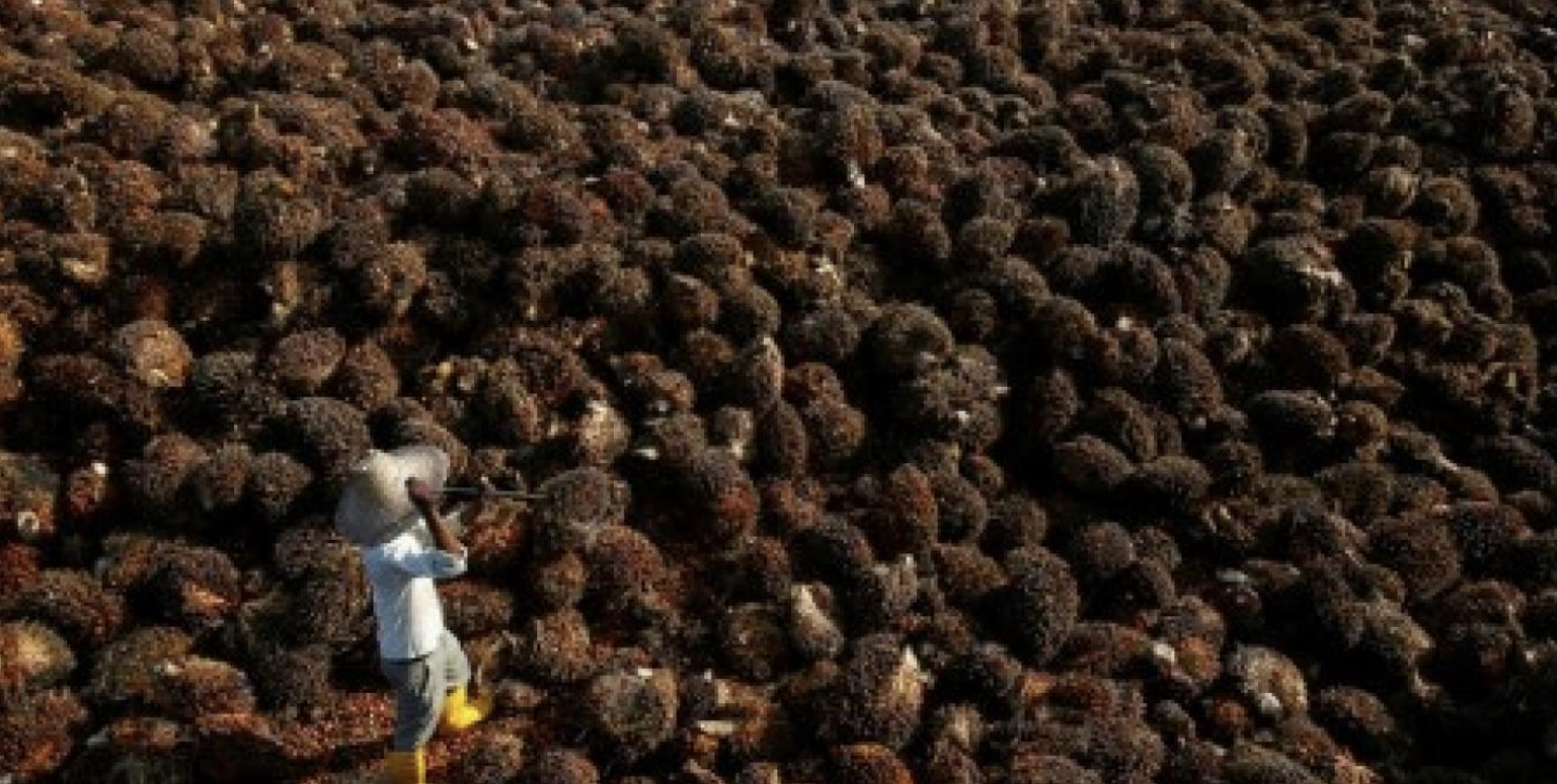 Screenshot 2023-06-14 at 08.32.25