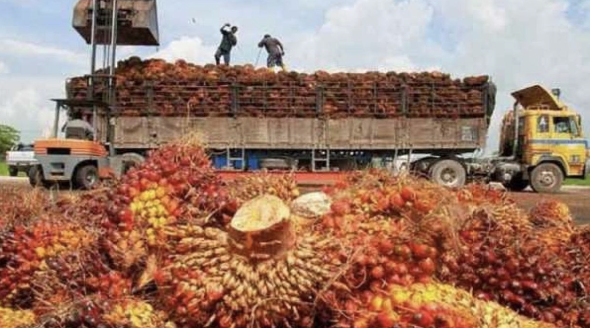 Screenshot 2023-06-15 at 07.54.20