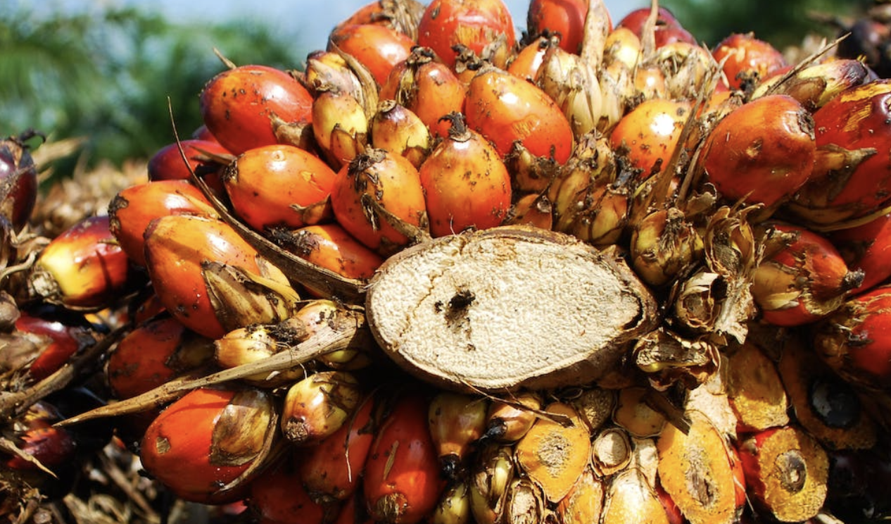 Screenshot 2023-07-03 at 14.12.57