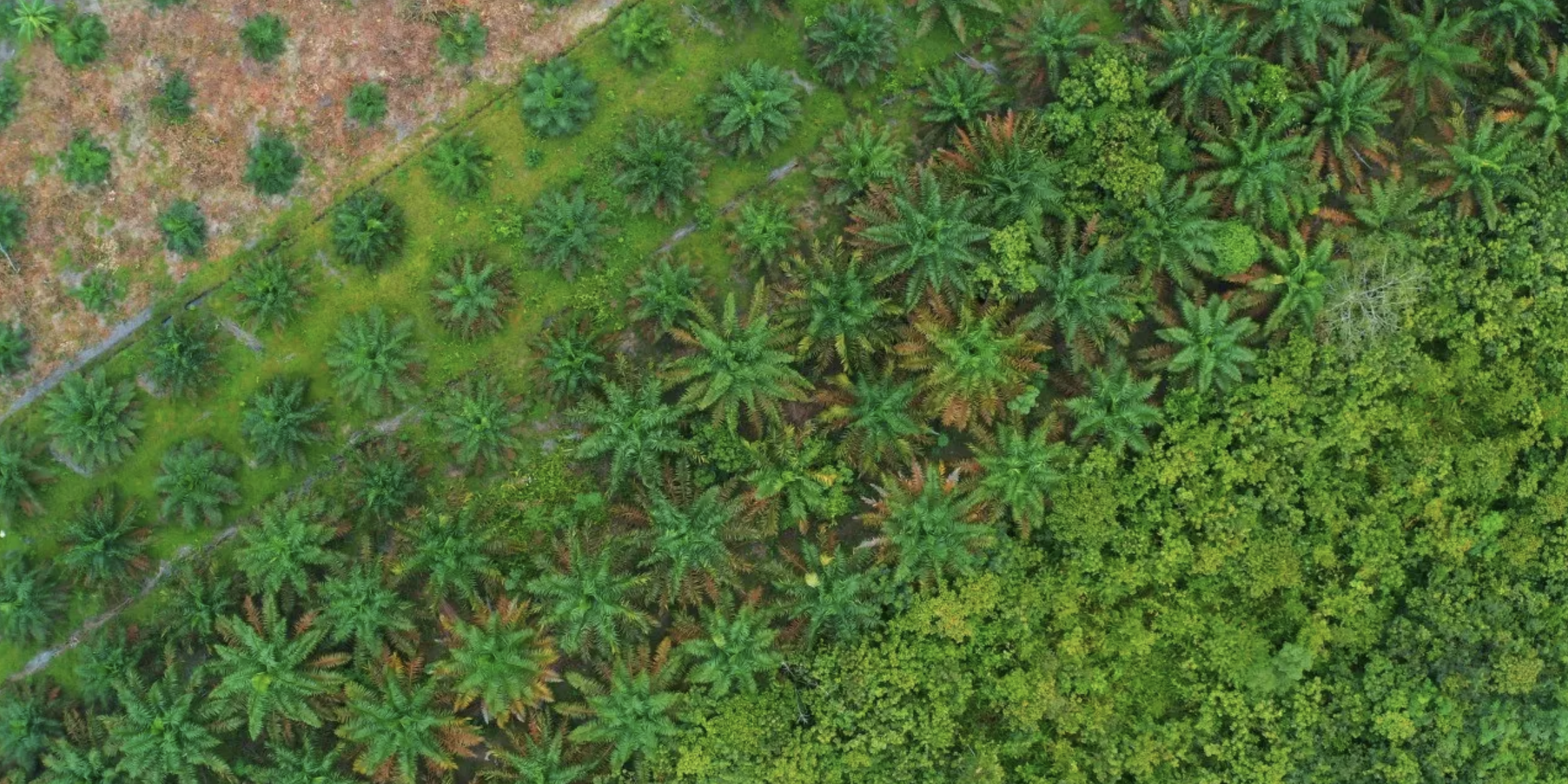 Screenshot 2023-07-06 at 13.47.30