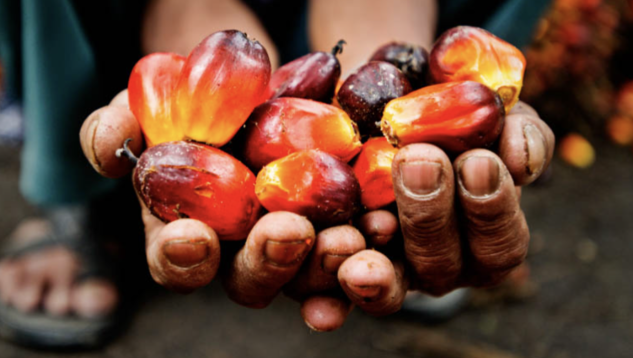 Screenshot 2023-07-12 at 14.48.35