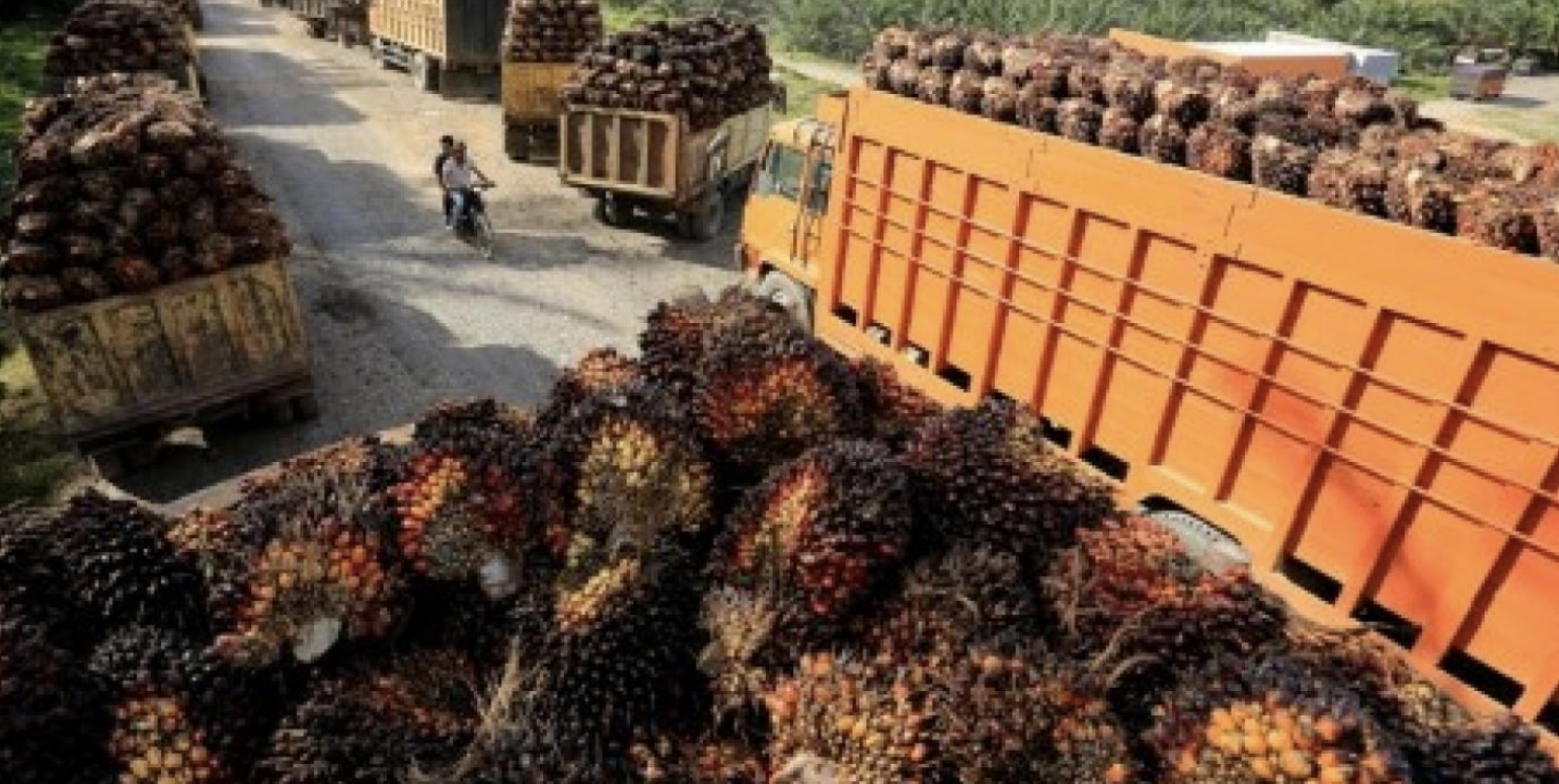 Screenshot 2023-07-20 at 08.54.20