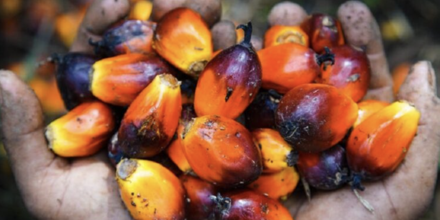 Screenshot 2023-07-24 at 13.07.41