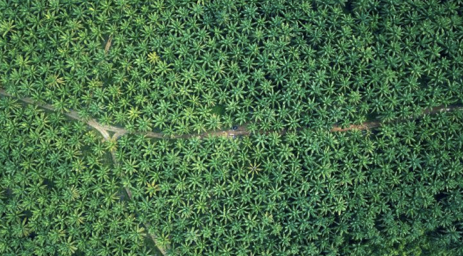 Screenshot 2023-08-02 at 13.34.24