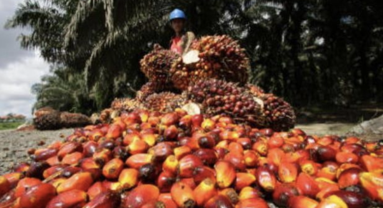 Screenshot 2023-08-02 at 14.15.15