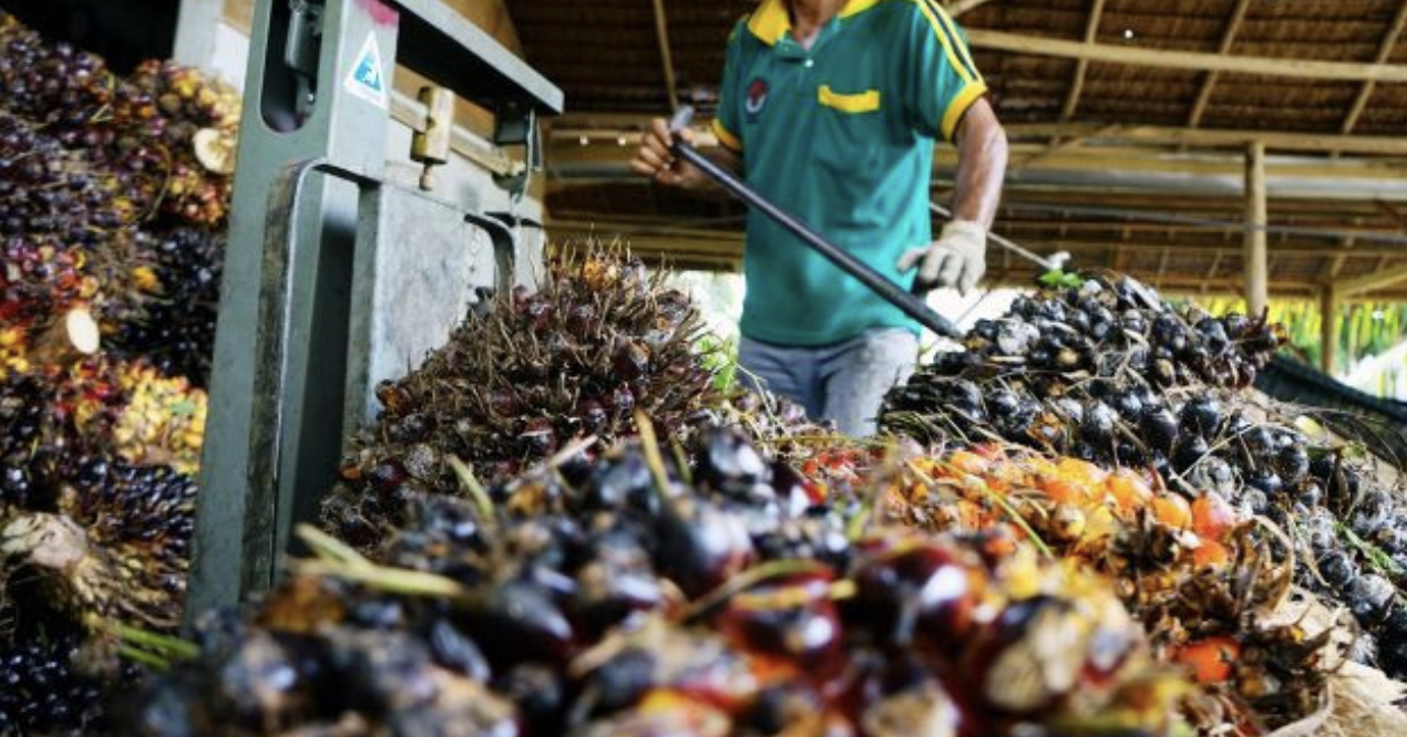 Screenshot 2023-08-02 at 14.20.44