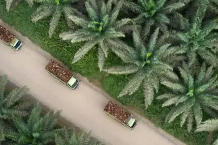 Screenshot 2023-08-23 at 12.22.28