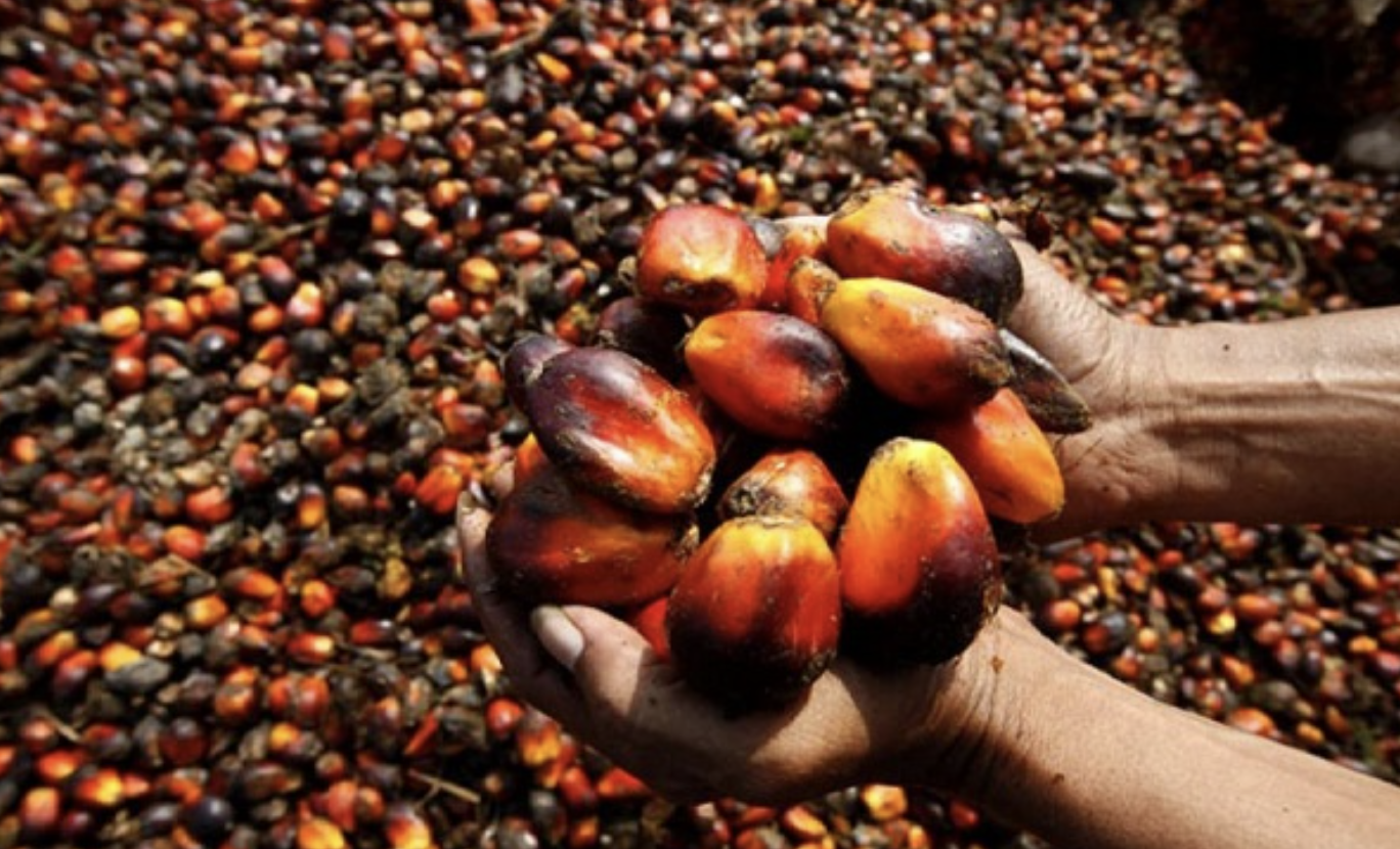 Screenshot 2023-11-27 at 17.00.27